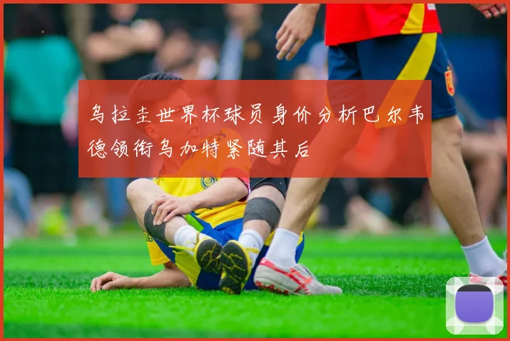 乌拉圭世界杯球员身价分析巴尔韦德领衔乌加特紧随其后